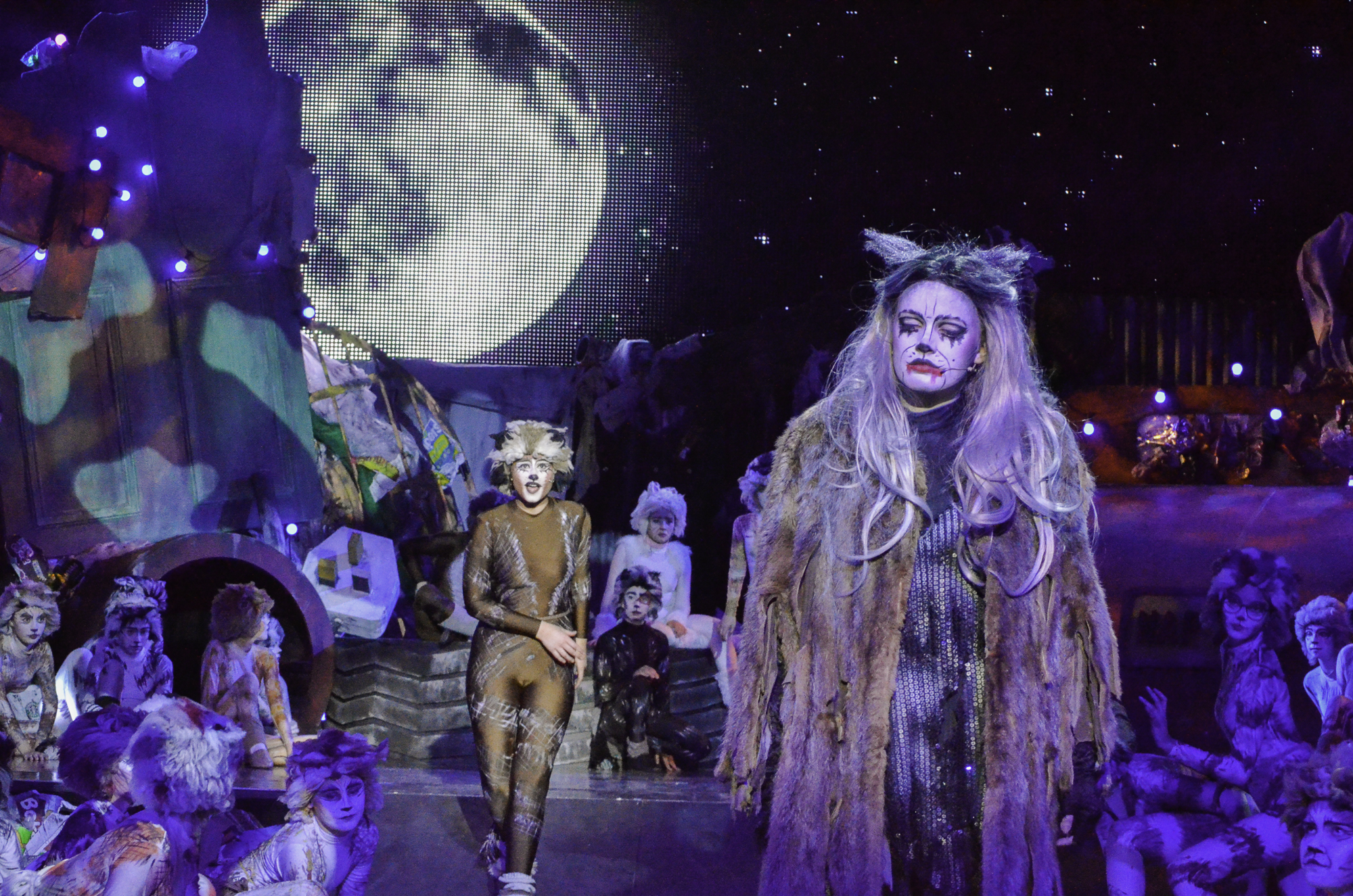 CATS production shots-18